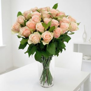 샴페인컬러로즈바세24