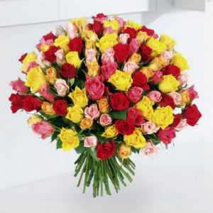 블랜디드로즈100