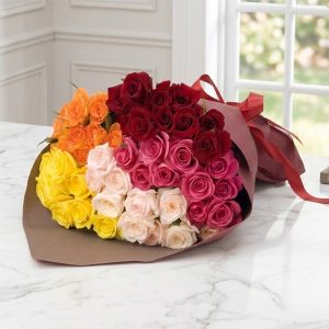 파이브컬러로즈50