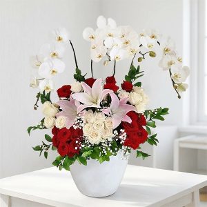 호접란-팰리스