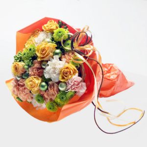 로즈믹스-치어